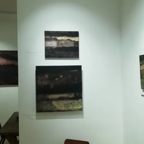 Kiállítás fotó
